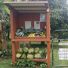 Oikos Farmstand.jpeg