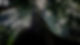 yam-conexao-com-a-vida-samauma-catedral-da-floresta_foto-camilla-coutinho-1920x1081_edited