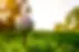 Golf-Tee-Sunrise-750x500.webp