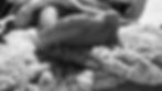 Facetune_02-02-2026-11-46-15_Original.jpg
