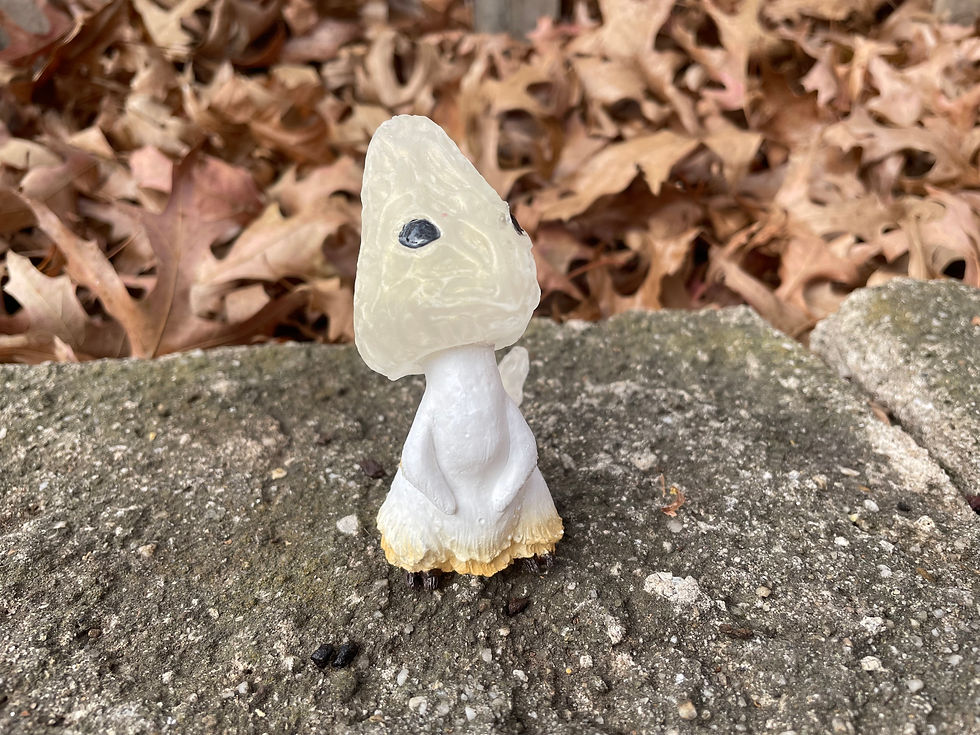 Thumbnail: Shroomling - Ghost Morel