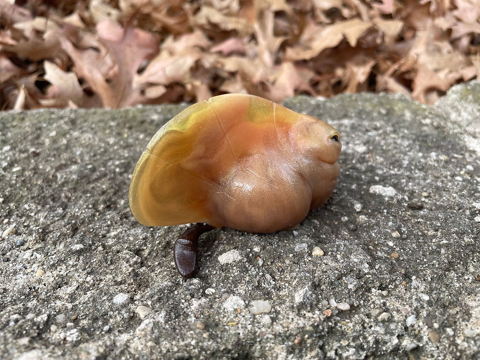 Thumbnail: Leafling - Translucent Orange