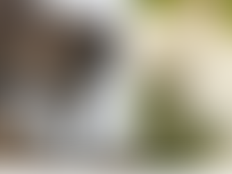 Newsletter n°69 : Un loup qui mange des légumes