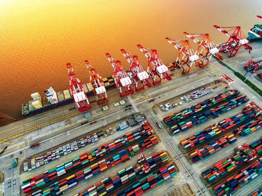 What Is Port Management? Functions, Workflows and Digital Systems
