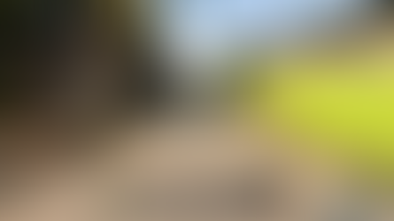 Brgy. Donacion Update: Tagumpay na Paglilinis, Ipinamalas ng mga Kawani at Residente