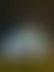 San Rafael Municipal Grounds, Buhay na Buhay na Bago ang Grand Opening!