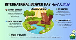 MENRO Angat, Ipinagdiwang ang International Beaver Day