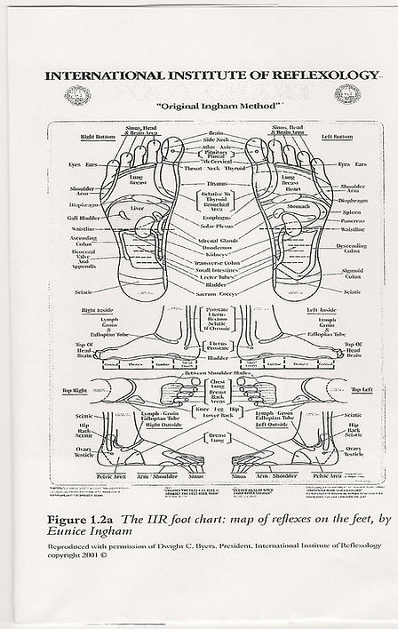 Reflexology Map showing which parts of the body are stimulated by the feet according to Reflexology