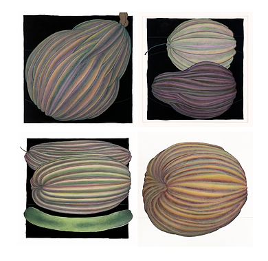 배윤재, 무엇이든 가능한 물체, 장지에 채색33x33cmㅡ총 66x66cm),2021.png