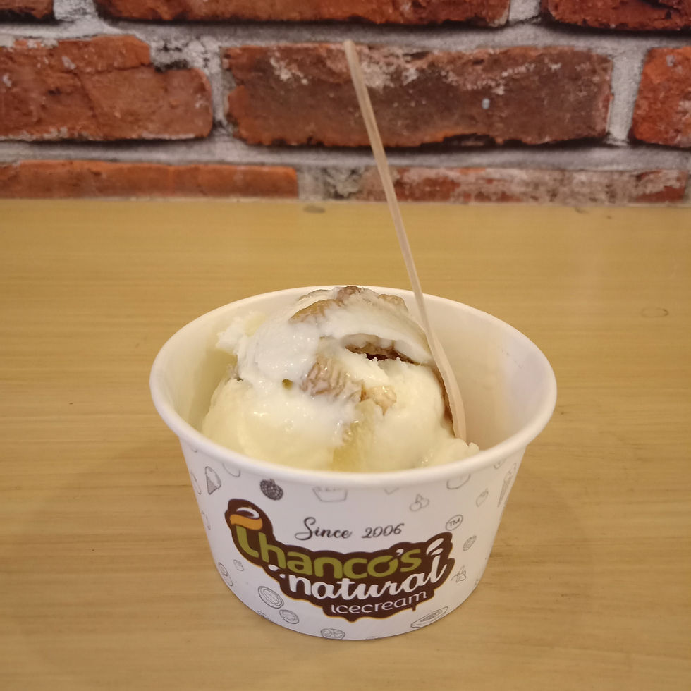 Apple Raisin Ice Cream Thancos Naturals Ice Cream