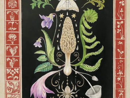 夏のグループ展|魔法大自然