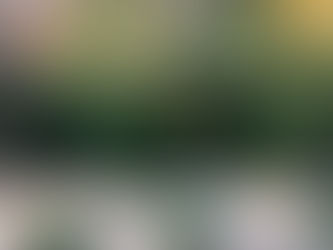 Finding Inspiration Everywhere