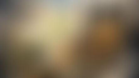 Dit bedrijf neemt het op tegen defensiereuzen en is zwaar ondergewaardeerd