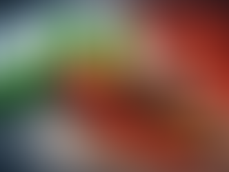 Recordomzet voor Birkenstock, maar marges onder druk, wat betekent dit voor het aandeel?