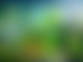 De veiligste AI-weddenschap van 2026: Waarom Schneider Electric profiteert zonder de risico's van de hype.