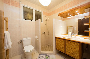 Salle de bain 2 villa .jpg