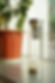 Gemstones Infused Tea Bottle