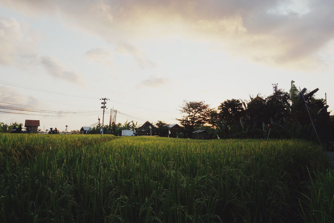 Photo 11-09-18 18.04.10.jpg