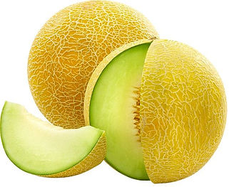 galia.jpg