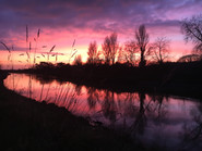 IMG_9845.jpeg