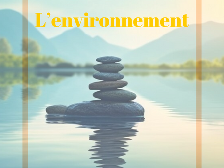 Comment votre environnement peut vous aider dans votre perte de poids?