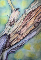 Broken Bark Wanstead Park.jpg