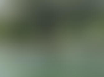 Requests We Never Get