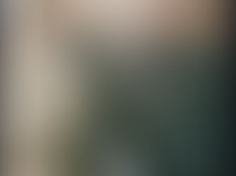 A Thought on Veteran’s Day