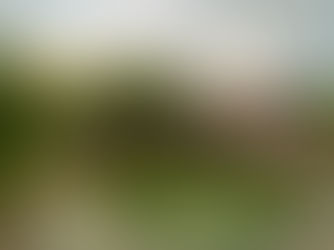 All Humans Welcome | Queer Wellness