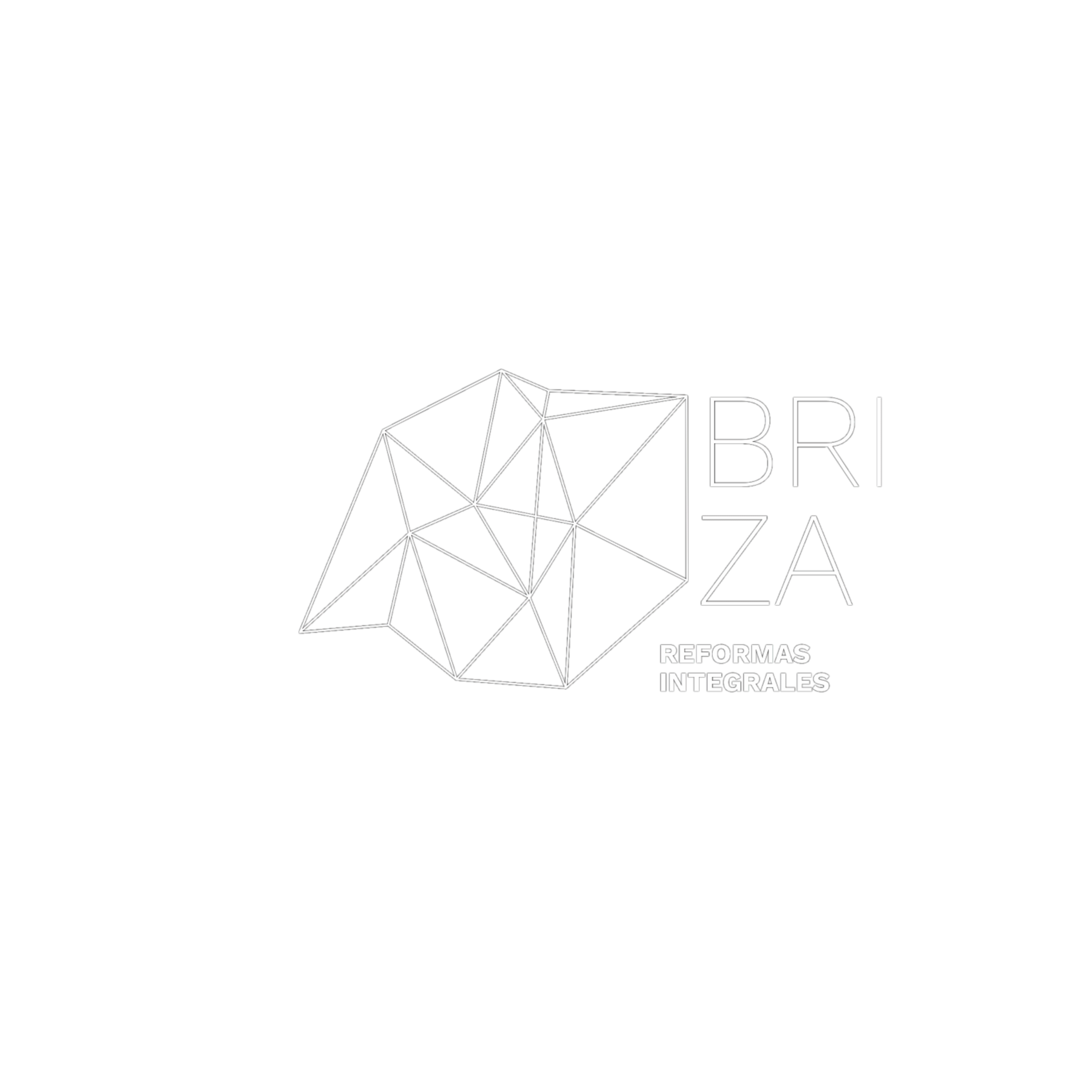 Briza Reformas Integrales Logo