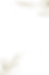 Ativo 49_4x.png
