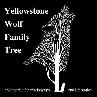 BW Logo - Yellowstone Wolf Family Tree.jpg