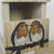 Wildwood Robin bird box 