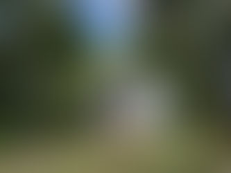 The True Story of the Ben Fuller Farmhouse