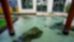 Natural Lagos - Boituva-7.jpg