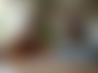 Do You Qualify for a Marriage Green Card Simplifying the Process