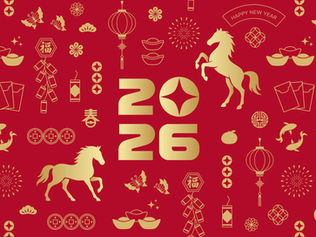 【2026年福袋】予約受付スタート！選べる限定ベーグルとお得なチケット入り｜KAMOGAWA BAKERY