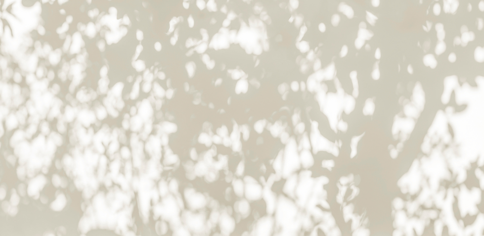shutterstock_2422802207s.png