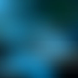 Globalization vs. Glocalization - Is it a Necessary Differentiation?