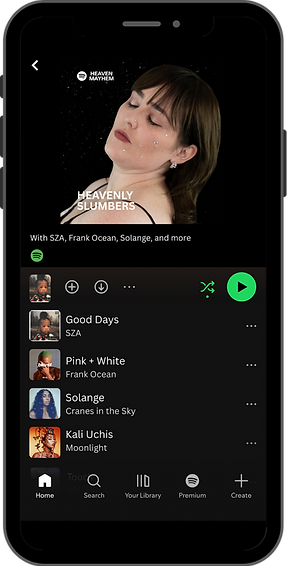 KaylaBogan_SOCL440_W26_Conleay_Capstone_Campaign_Final (5).png