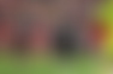 Arne Slot subtle change has unleashed two players as Liverpool get new secret weapon