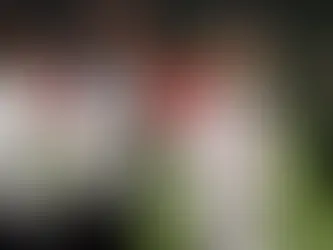 Luis Diaz pays tribute to Diogo Jota as ex-Liverpool star wins first trophy at Bayern Munich