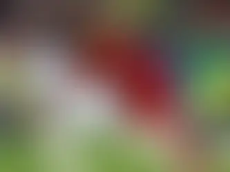 'I turned down Real Madrid for Liverpool after what Spanish player did to Mo Salah'