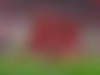 Arne Slot explains why he ran risk with Darwin Nunez and gives Cody Gakpo Liverpool injury update