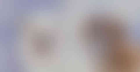 Weisser und brauner Boxerhund im Aquarell Doppelportarit vor violettem Hintergrund