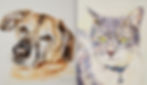 Aquarell Tierportrait Hund und Katze Geschenk
