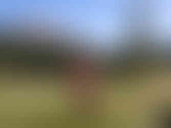 Jahresrueckblick 2025: Der erste Tag im Engadin 