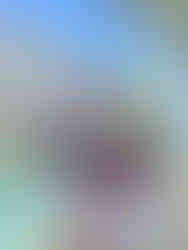 Zwillingsfrauen mit schönen Kleidern mit Blumen auf Balkon 