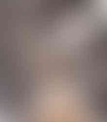 Hirsch im Schnee Foto