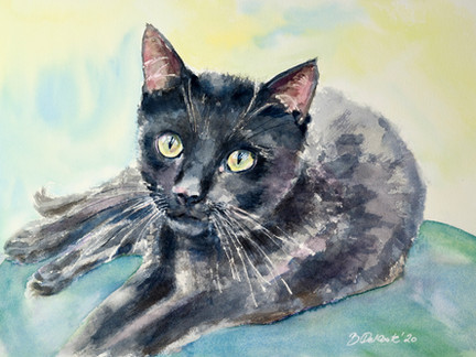 Schwarze Katze auf grünem Sofa, 2020